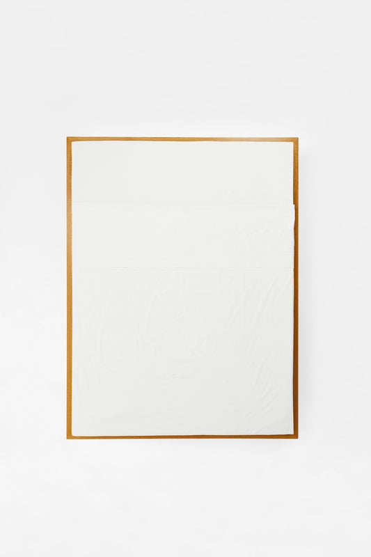 Product Image - Flat Sheet in Prism